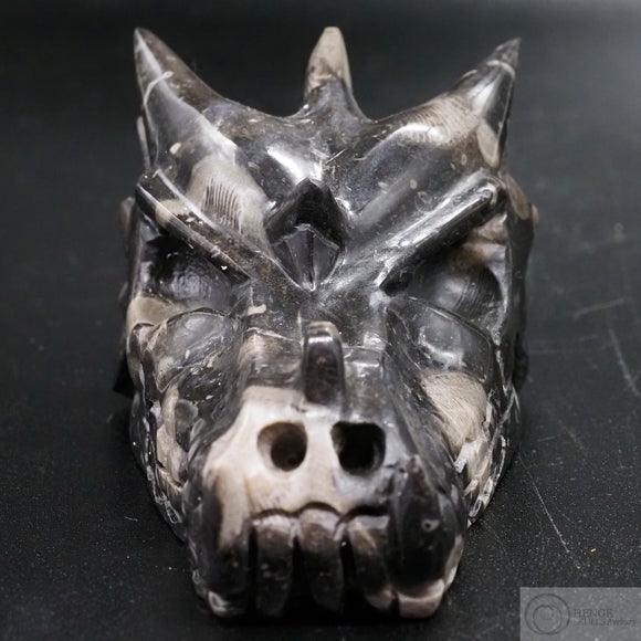 Frosterley Marble Dragon Skull
