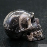 Frosterly Marble Human Skull (FM13)