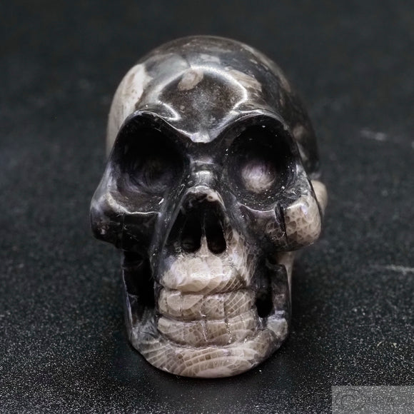 Frosterly Marble Human Skull (FM15)
