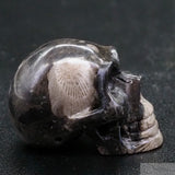 Frosterly Marble Human Skull (FM15)