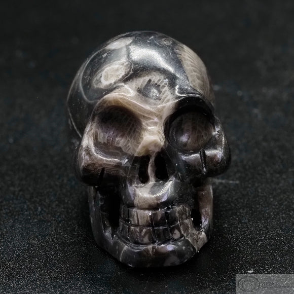 Frosterly Marble Human Skull (FM14)