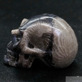 Frosterly Marble Human Skull (FM14)