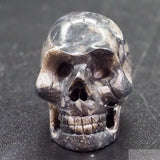 Frosterly Marble Human Skull