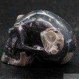 Frosterly Marble Human Skull (FM11)