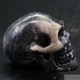 Frosterly Marble Human Skull (FM11)