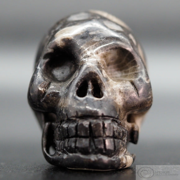 Frosterley Marble Human Skull