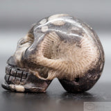 Frosterley Marble Human Skull
