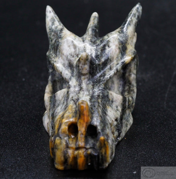 Gneiss Dragon Skull