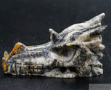 Gneiss Dragon Skull