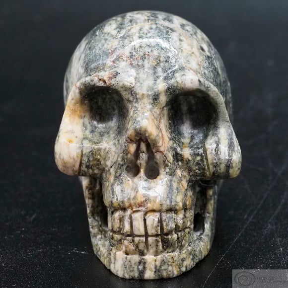 Gneiss Human Skull