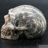 Gneiss Human Skull
