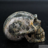 Gneiss Human Skull