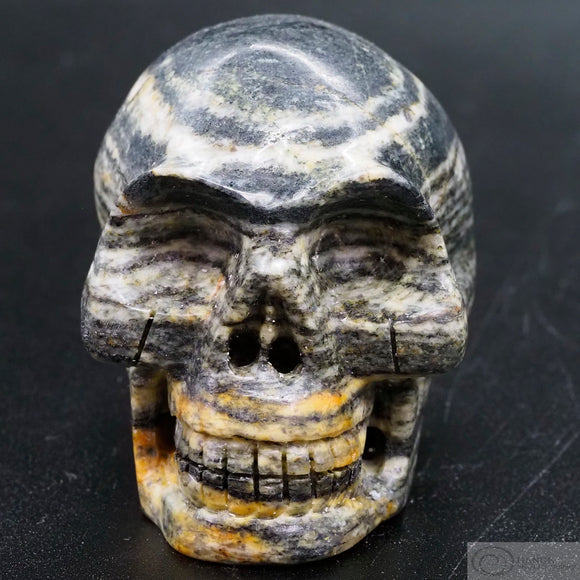Gneiss Human Skull