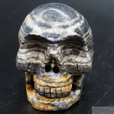 Gneiss Human Skull