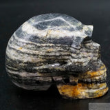 Gneiss Human Skull