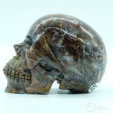 Gold Pietersite Human Skull (GP01)