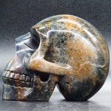 Hawk Eye Human Skull (HE01)