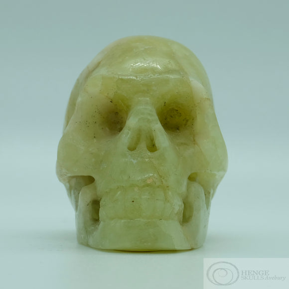 Helidor Human Skull