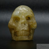 Heliodor Human Skull