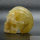 Heliodor Human Skull