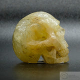Heliodor Human Skull