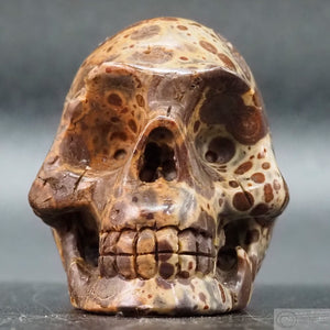 Jasper Human Skull (J22)