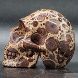 Jasper Human Skull (J22)