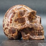 Jasper Human Skull (J22)