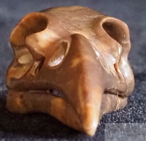 Jasper Raven Skull