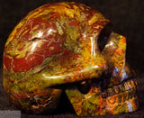 Jasper Human Skull (J20)