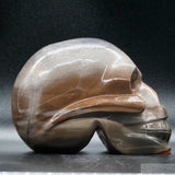 Jasper Human Skull