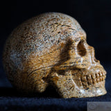 Jasper Human Skull (J17)