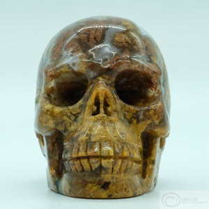 Jasper Human Skull (J03)