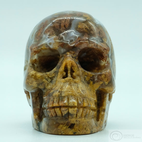 Jasper Human Skull (J03)