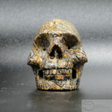 Jasper Human Skull