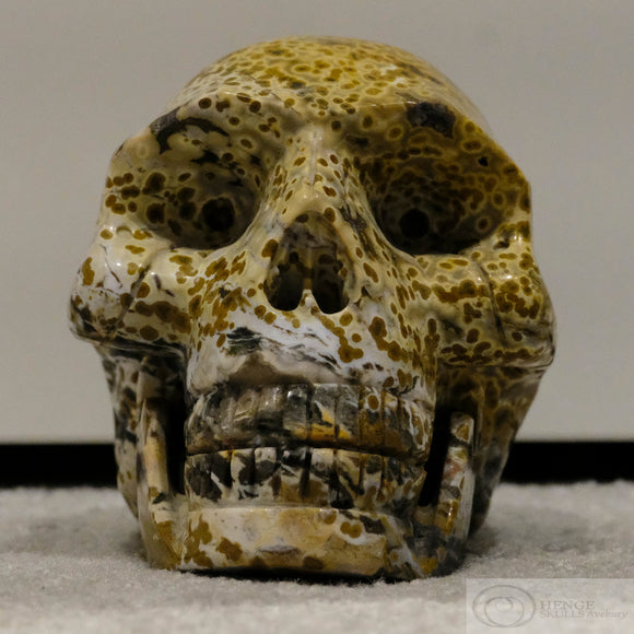 Jasper Human Skull