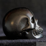 Jet Human Skull (Jet03)