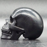 Jet Human Skull (Jet05)