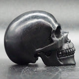 Jet Human Skull (Jet05)