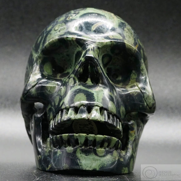 Kambaba Jasper Human Skull (KamJ03)