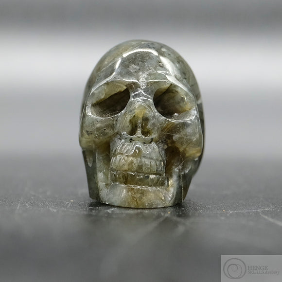 Labradorite Human Skull (Lab06)