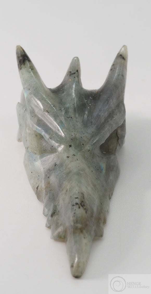 Labradorite Phoenix Skull (LAB52)