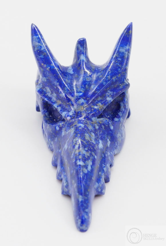 Lapis Phoenix Skull (LA52)