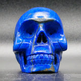 Lapis Lazuli Human Skull (LL10)