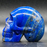 Lapis Lazuli Human Skull (LL10)