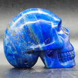 Lapis Lazuli Human Skull (LL10)