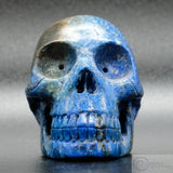 Lapis Lazuli Human Skull (LL06)