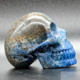 Lapis Lazuli Human Skull (LL06)