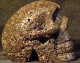 Lava (Mt Shasta) Human Skull