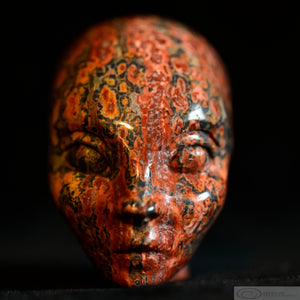 Leopard Jasper Star Faery (LSJ02)